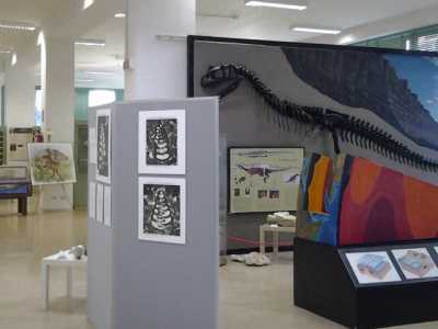 I musei del Campus